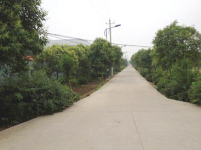 2007年 / 修路建橋 / 42萬元 - 江蘇省常州市武進區